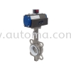 ACS Wafer Type Butterfly Valve (SS316 Body) Pneumatic Actuator Valve AUTOMATIC VALVE