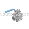 AT391 SS316 Body 2000psi AUTOMA Valve PRINCIPAL STORE