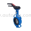 ACM CI/DI Butterfly Valve AUTOMA Valve PRINCIPAL STORE