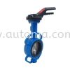 ACM CI/DI Butterfly Valve AUTOMA Valve PRINCIPAL STORE