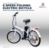 Electric Bike Folding Bicycle 6 Speed 250W Bicycle Electric Bicycle - Fresco Bike