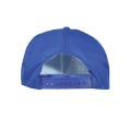 CP 3988 5 Panel Cap