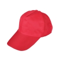 CP 3988 5 Panel Cap