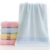 Towel 33*73 Toiletries