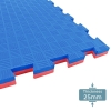 Taekwondo Flooring Mat Eva Mat / Gymnastics Mat