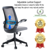 Ergonomic Office Chair WN9508-BLK (10 Years Warranty) Ergonomic Office Chair