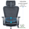 Ergonomic Office Chair WN 045-BLK Ergonomic Office Chair