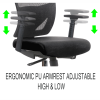 Ergonomic Office Chair WN1 ALU2-006-5D-BLK  Ergonomic Office Chair