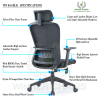 Ergonomic Office Chair WN 045-BLK Ergonomic Office Chair