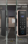 T-70 Smart Digital Rim Lock (Glass Door) Glass Smart Lock