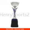 BAW710 Metal Cup Trophy (GOLD RED / SILVER BLUE) Metal Cup Without Handle Metal Cup Trophy Award Trophy, Medal & Plaque