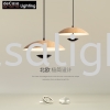 Pendant Light(D1250) Designer Pendant Light PENDANT LIGHT