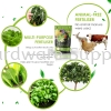 BIOHYBRID SuperGrow 1KG Dry Fertilizer Fertilizer Gardening