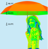 Mini Foldable Umbrella  -UM 2590 Umbrella  Outdoor & Lifestyle Corporate Gift