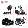 Electric Scooter 3 Wheel Folding 500W for Elderly Electric Scooter Wheelchair - Fresco Bike