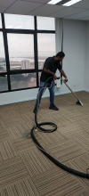 Carpet Cleaning Carpet Cleaning Services