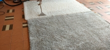 Carpet Cleaning Carpet Cleaning Services