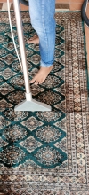 Carpet Cleaning Carpet Cleaning Services