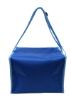 B0420 Cooler Bag Cooler / Delivery Bags Bag