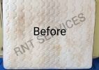 Mattress Cleaning Mattress Cleaning Services