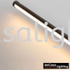 MODERN WALL LIGHT (ZZ-W6225-BK-1000) Contemporary Wall Light  WALL LIGHT