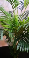 2m Phoenix Palm AP540 floristkl (Rent Available) Artificial Plant (Sell & Rent)