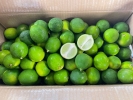 Limau Nipis Vietnam (x Biji) ԽѴ FRUITS & GROUND ʵ FRESH VEGETABLES - ߲