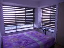  Zebra Blinds Blinds