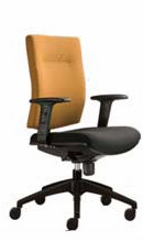 Brabuss Executive Low Back Chair (AIM3203F)