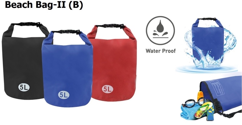 Beach Bag-II (B)