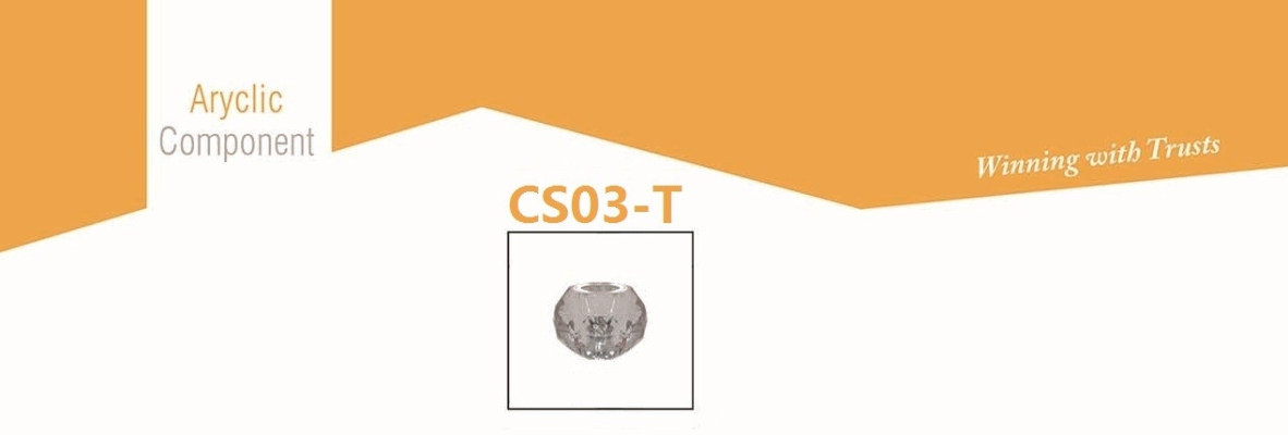 CS03-T