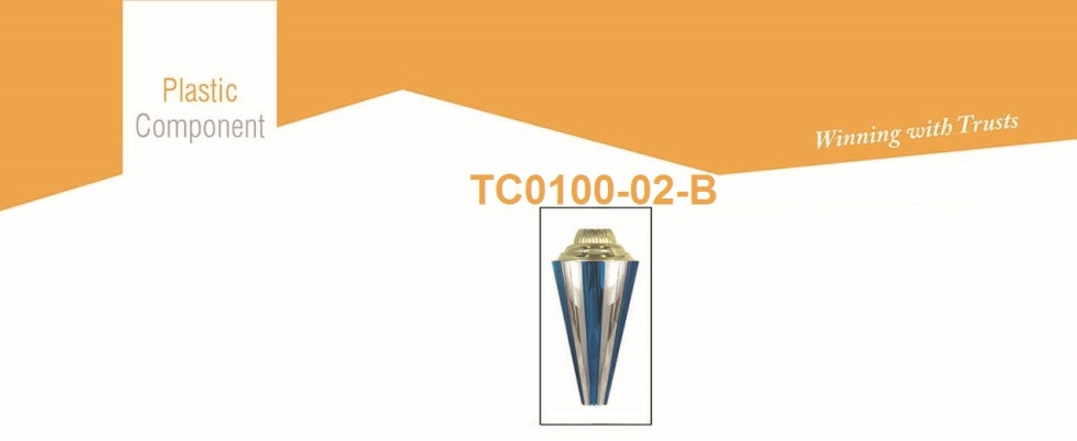 TC0100-02-B