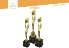 RC8800 Resin Assembly Trohy And Souvenir Trophy Baguss