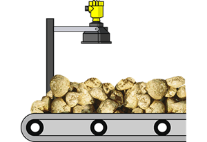 Measuring the level of sugar beets on the conveyor belt