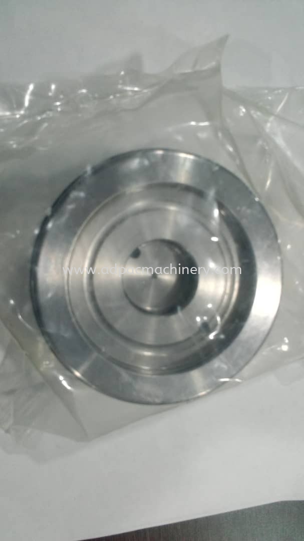 Hydraulic Piston