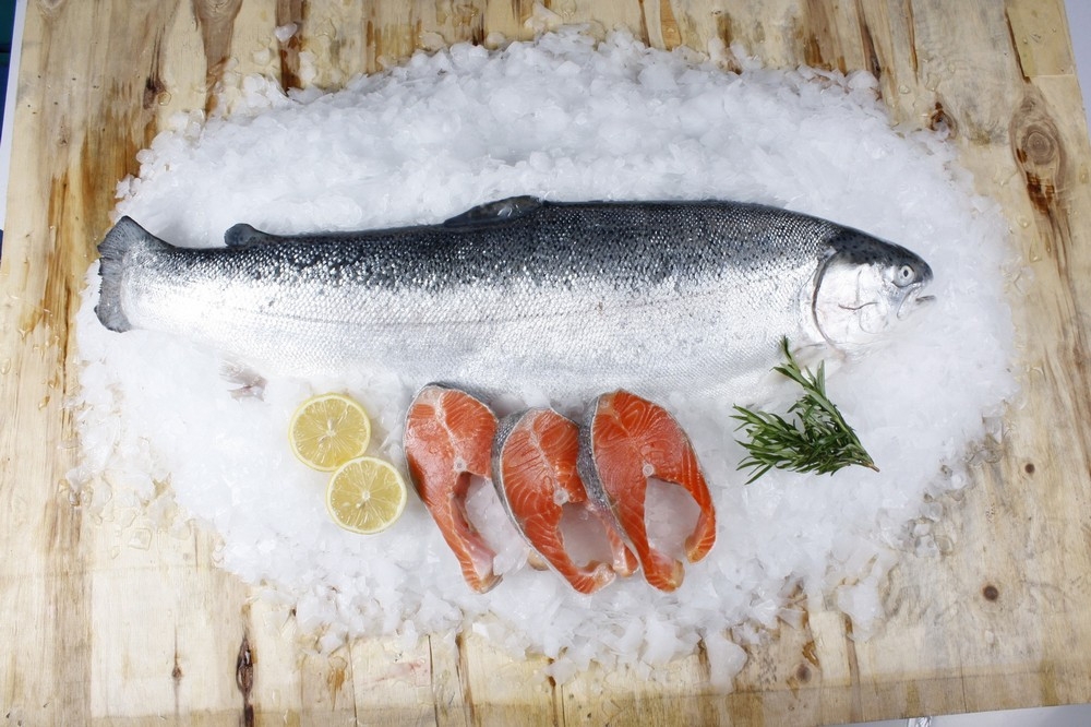 Fresh Salmon Whole Fish