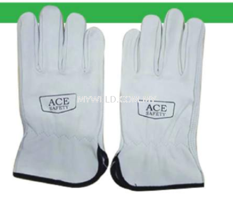 Argon TIG Glove