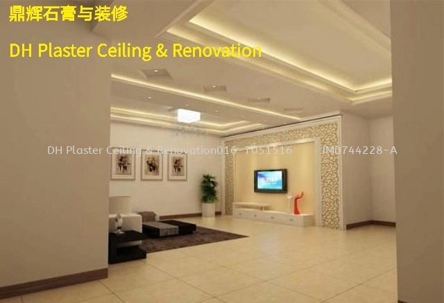 Plaster Ceiling and Living Room Design~DH