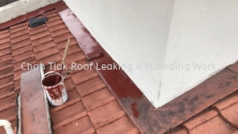 CHON TIAK ROOF LEAKING & PLUMBING WORK