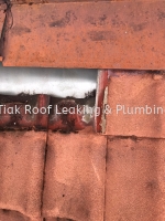 CHON TIAK ROOF LEAKING & PLUMBING WORK