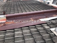 CHON TIAK ROOF LEAKING & PLUMBING WORK