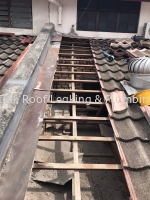 CHON TIAK ROOF LEAKING & PLUMBING WORK