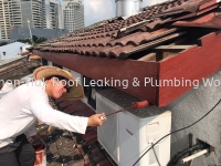 CHON TIAK ROOF LEAKING & PLUMBING WORK