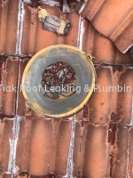 CHON TIAK ROOF LEAKING & PLUMBING WORK