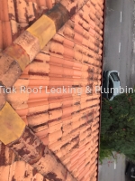 CHON TIAK ROOF LEAKING & PLUMBING WORK