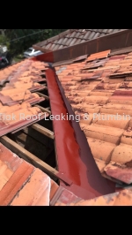 CHON TIAK ROOF LEAKING & PLUMBING WORK