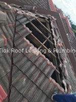 CHON TIAK ROOF LEAKING & PLUMBING WORK