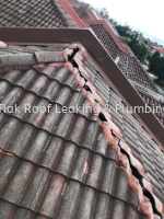 CHON TIAK ROOF LEAKING & PLUMBING WORK