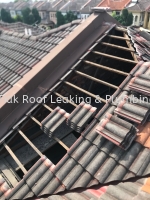 CHON TIAK ROOF LEAKING & PLUMBING WORK