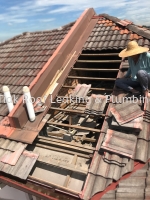 CHON TIAK ROOF LEAKING & PLUMBING WORK